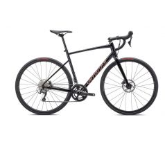 2025 Specialized Allez Sport Gloss Tarmac Black