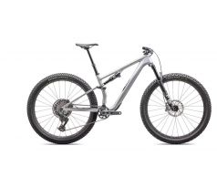 2025 Specialized EPIC 8 EVO EXPERT Satin Silver Dust / Gunmetal